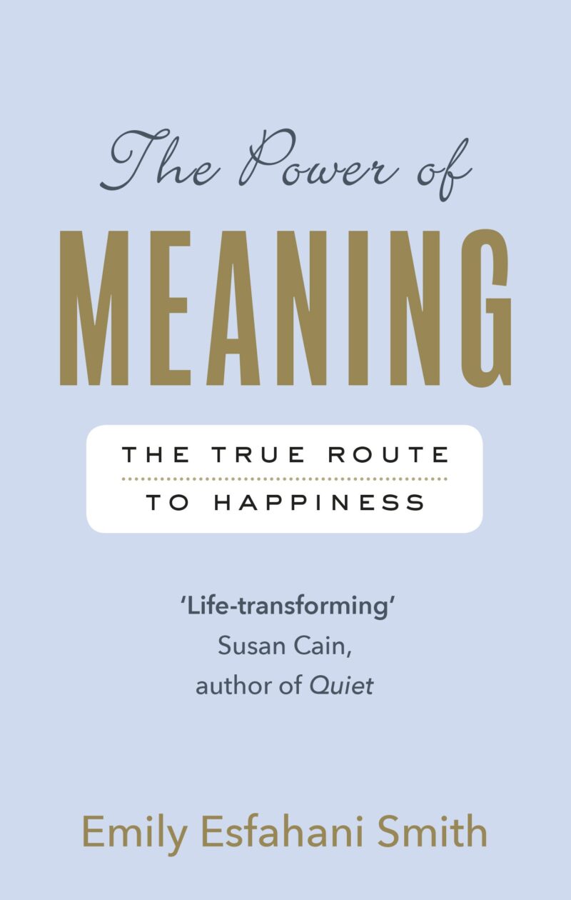 The Power of Meaning : The true route to happiness