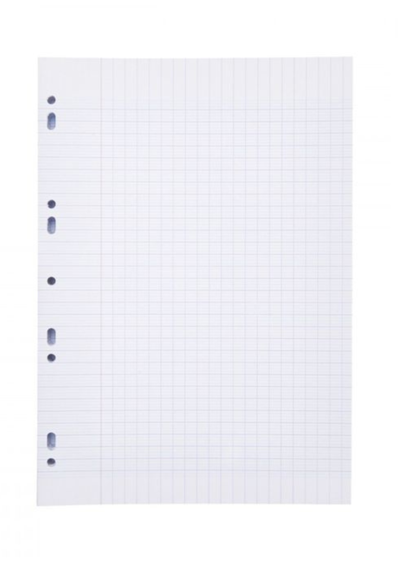 Feuille Double Blanche A4 80P