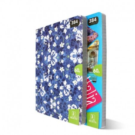 cahier essentiel 21x29.7 60g 288 pages