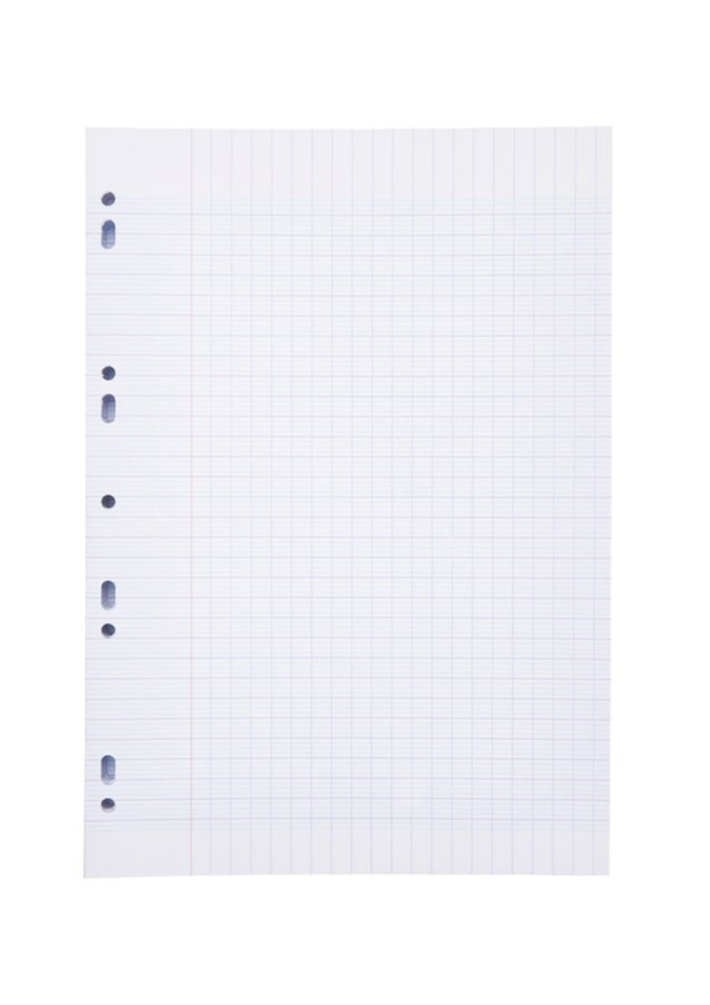 Feuille double 60grs 21*29.7 Blanche