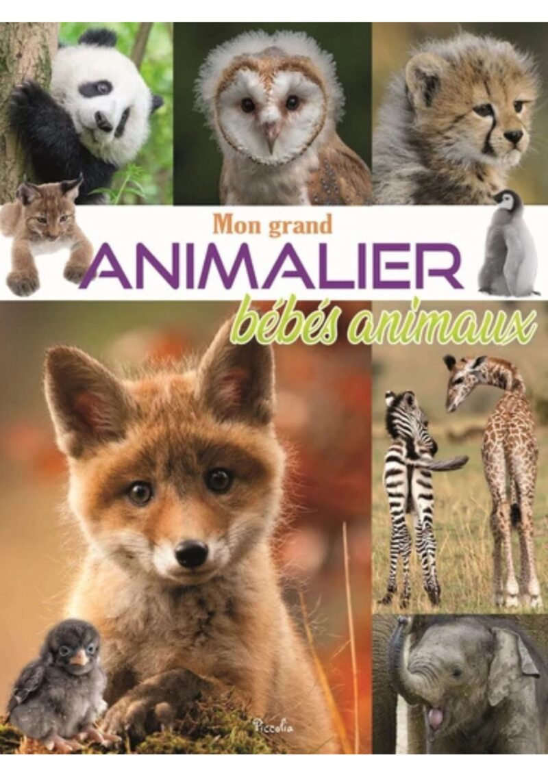 Mon grand animalier bébés animaux