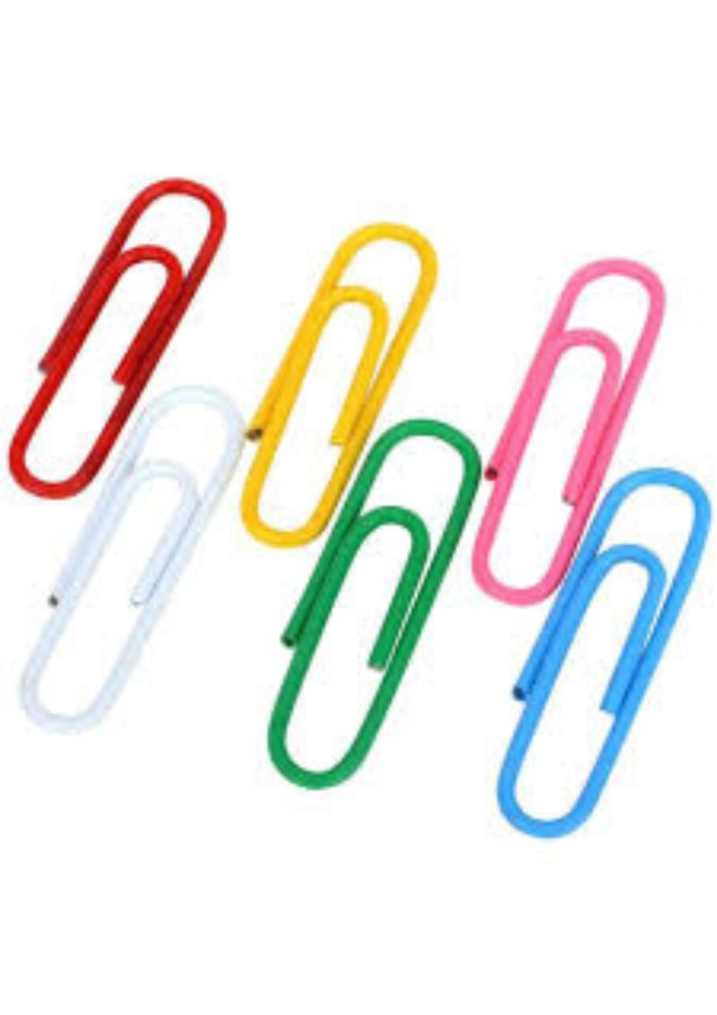 Trombones Plastifié – 33 mm – Boite de 100 – Boston
