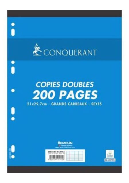 Paquet 100 copies doubles 90g 200p 21x29.7cm seyes perforées