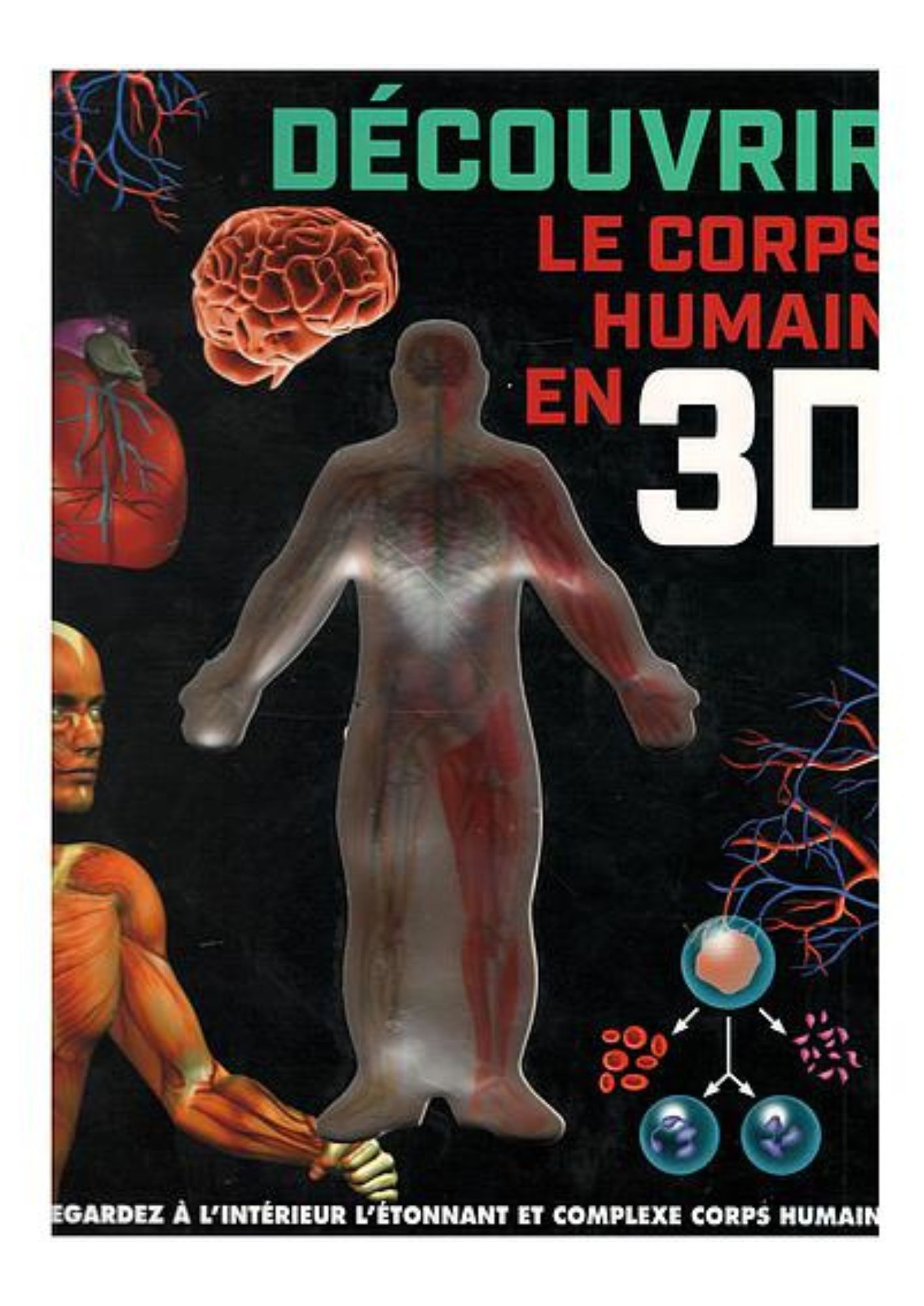 Découvre le corps humain en 3D