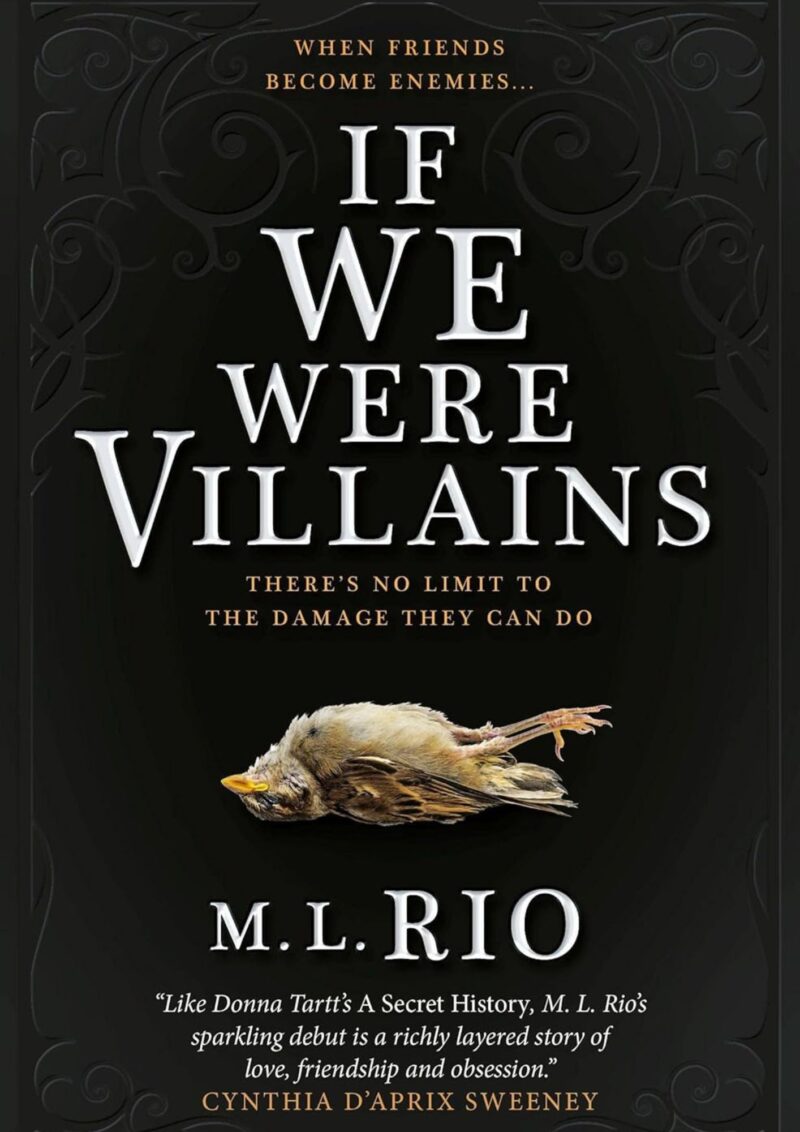 If We Were Villains