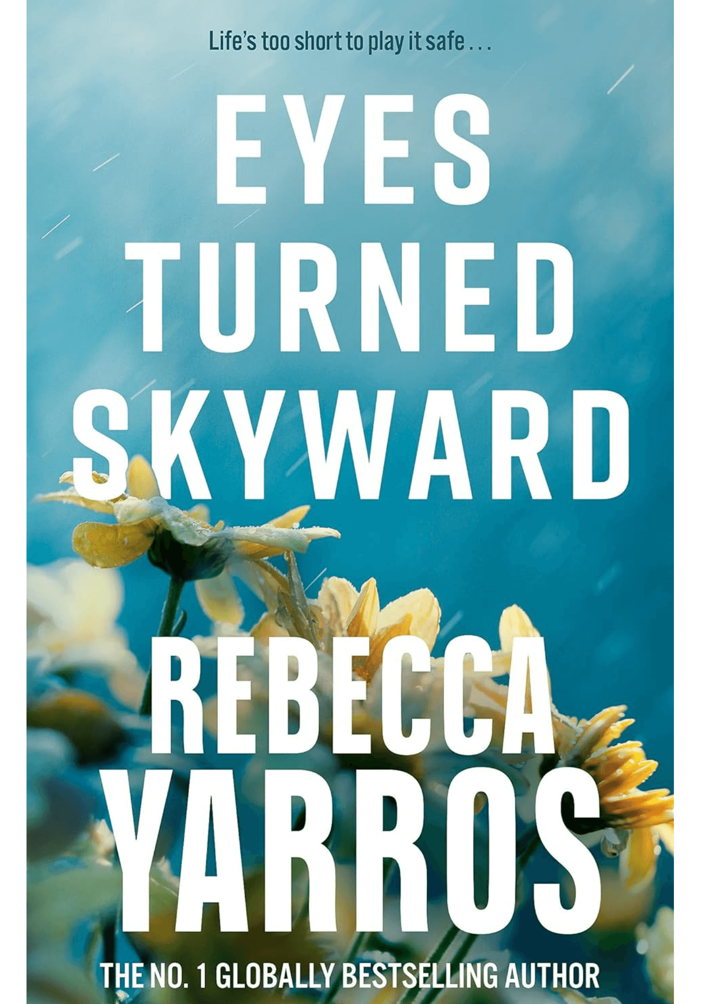 Eyes Turned Skyward (Flight & Glory)
