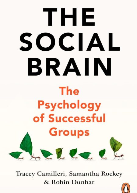 The Social Brain: The Psychology of Successful Groups